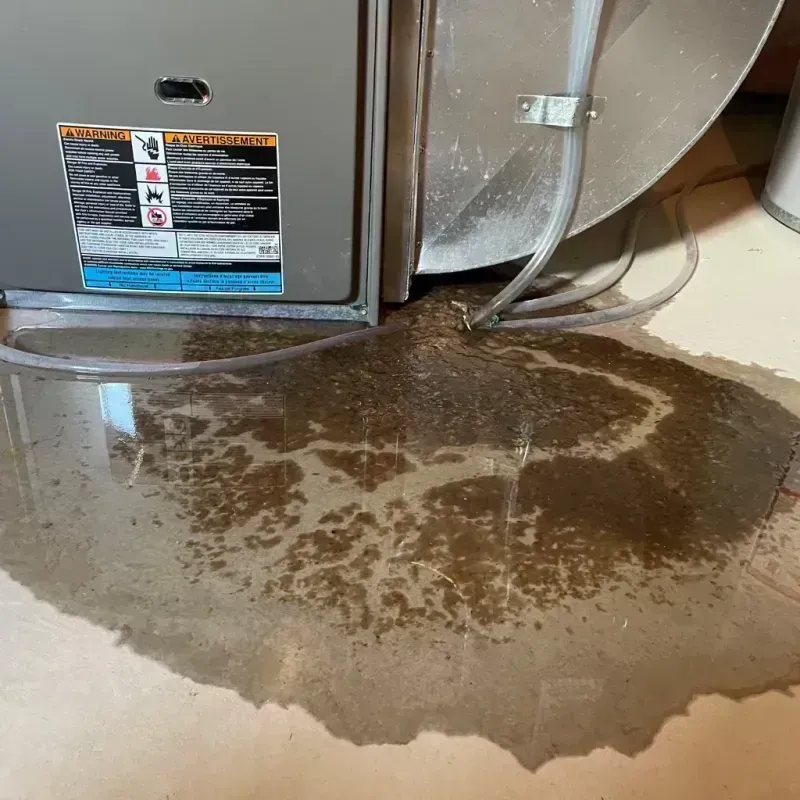 Appliance Leak Cleanup in Quitman County, GA